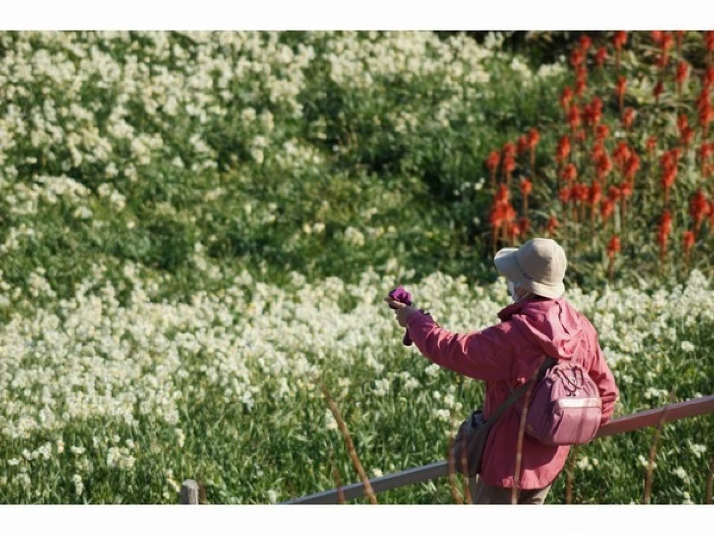 Resort Pension Turtle House