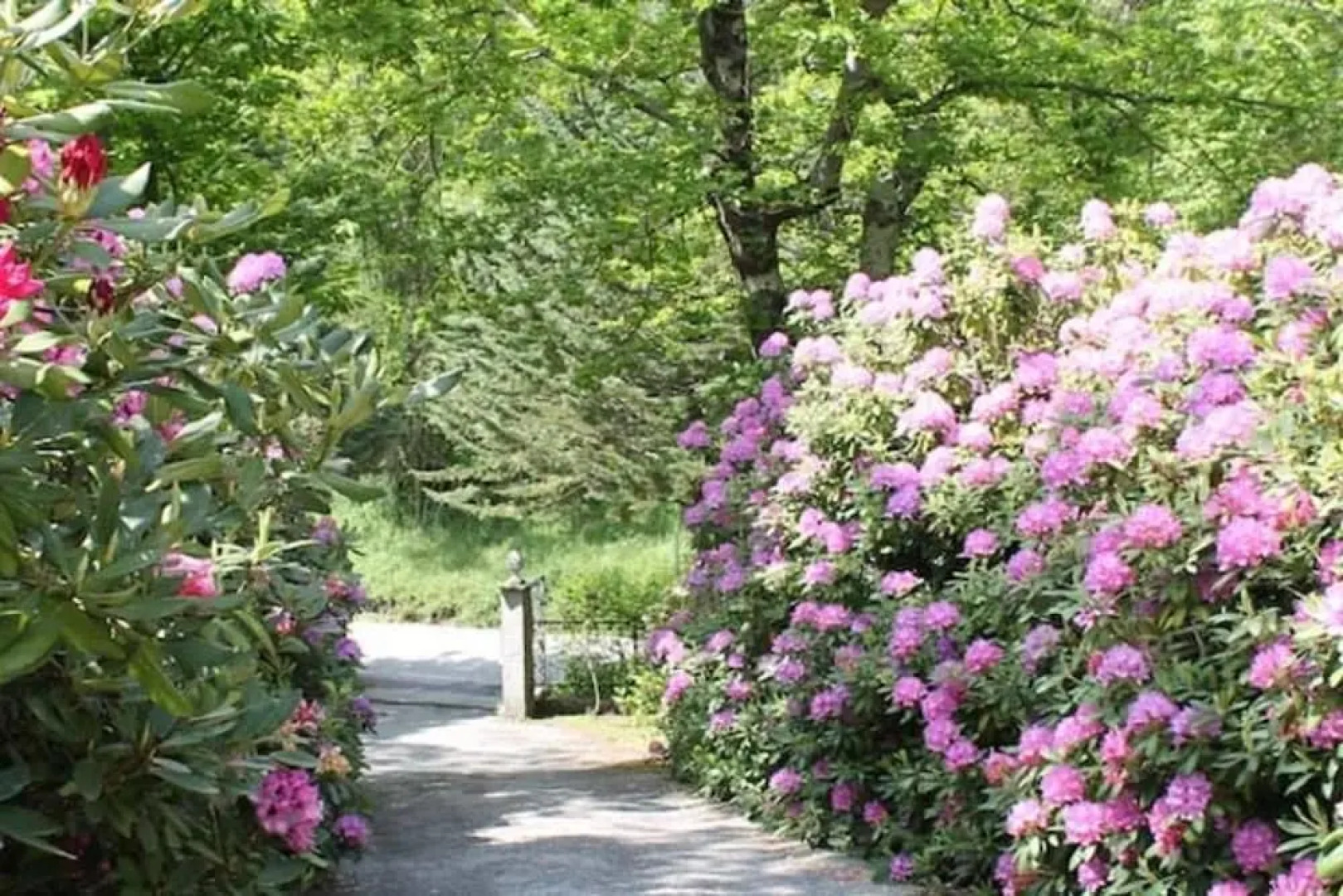 A Due Passi Dall'Alta Via