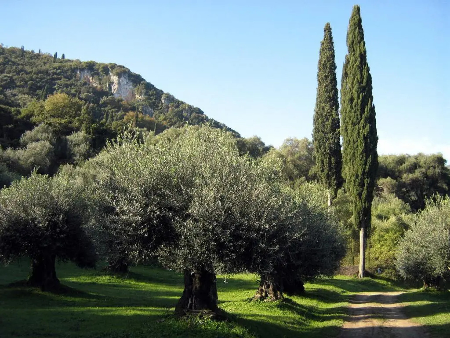 Avgoustina Venus Apartments