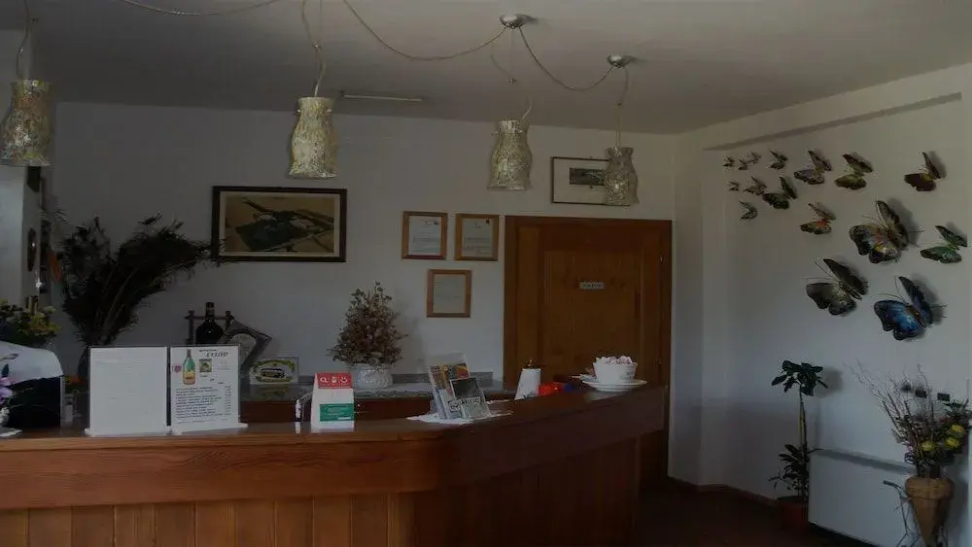 Agriturismo L' Ulivo