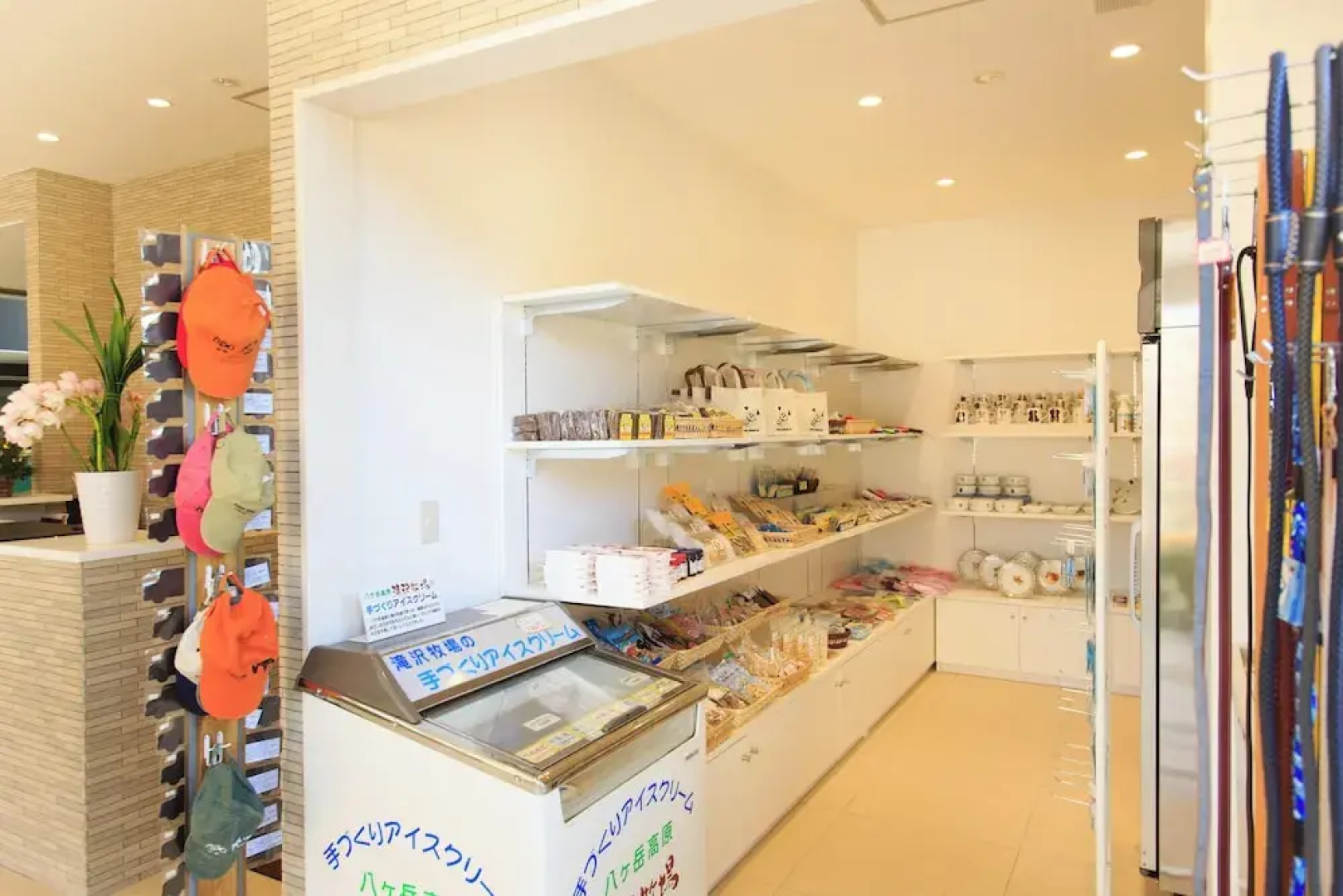 Izumigo Yatsugatake Dog Paradise Cottage