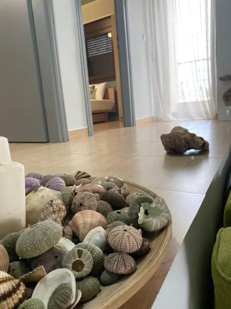 Beach House Nea Roda Chalkidiki