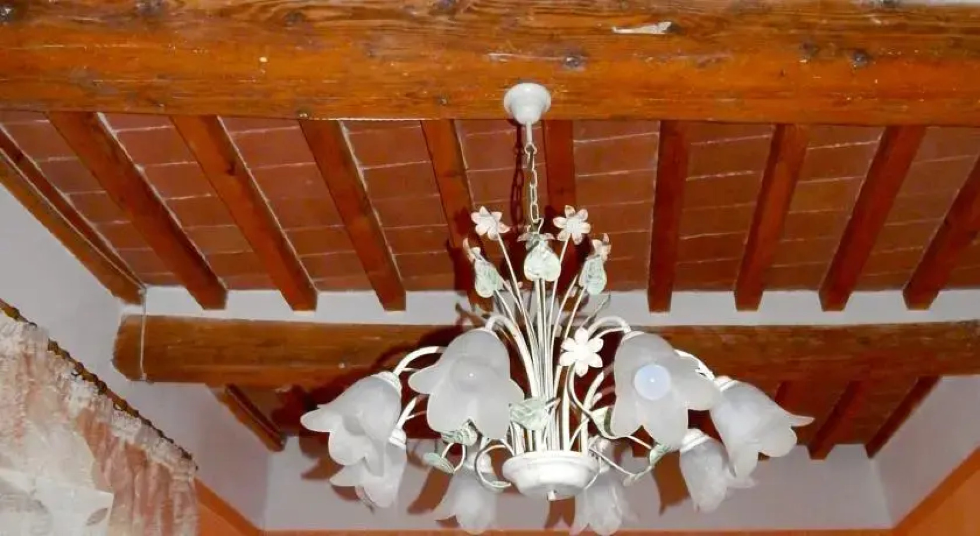 Apartment Casa Camelia