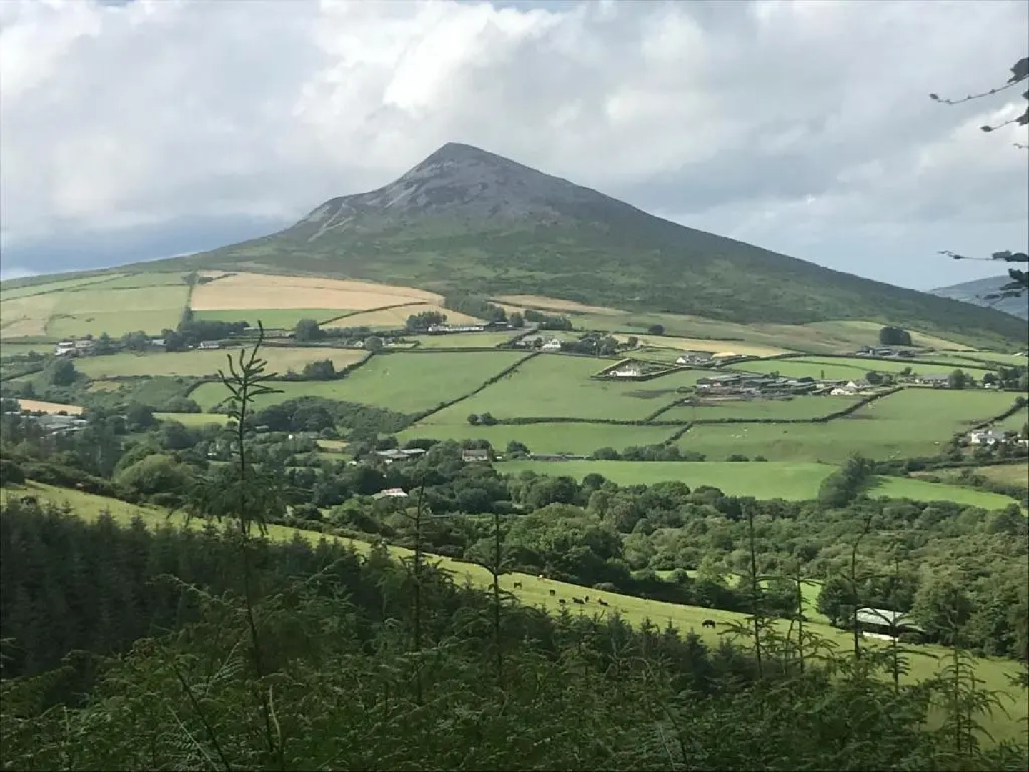Tall Trees Seaside & Nature Retreat B&B