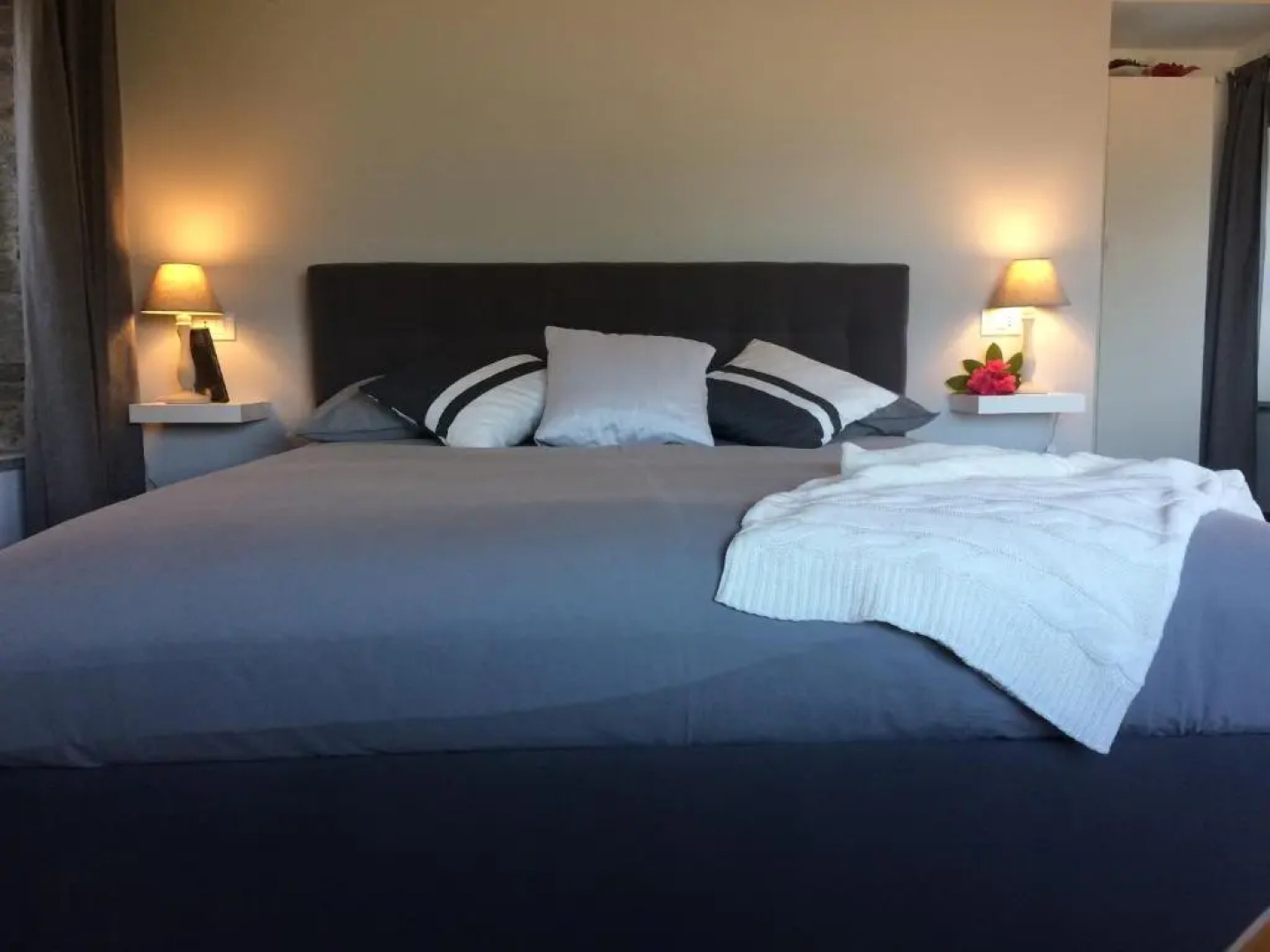 Il riccio di Ricciano