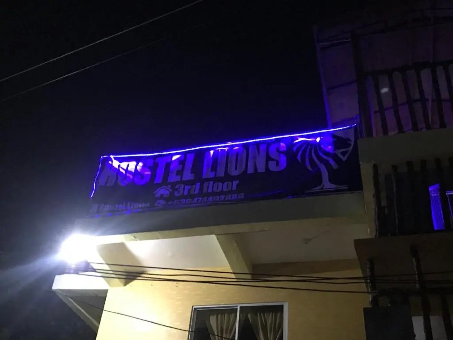 Hostel Lions