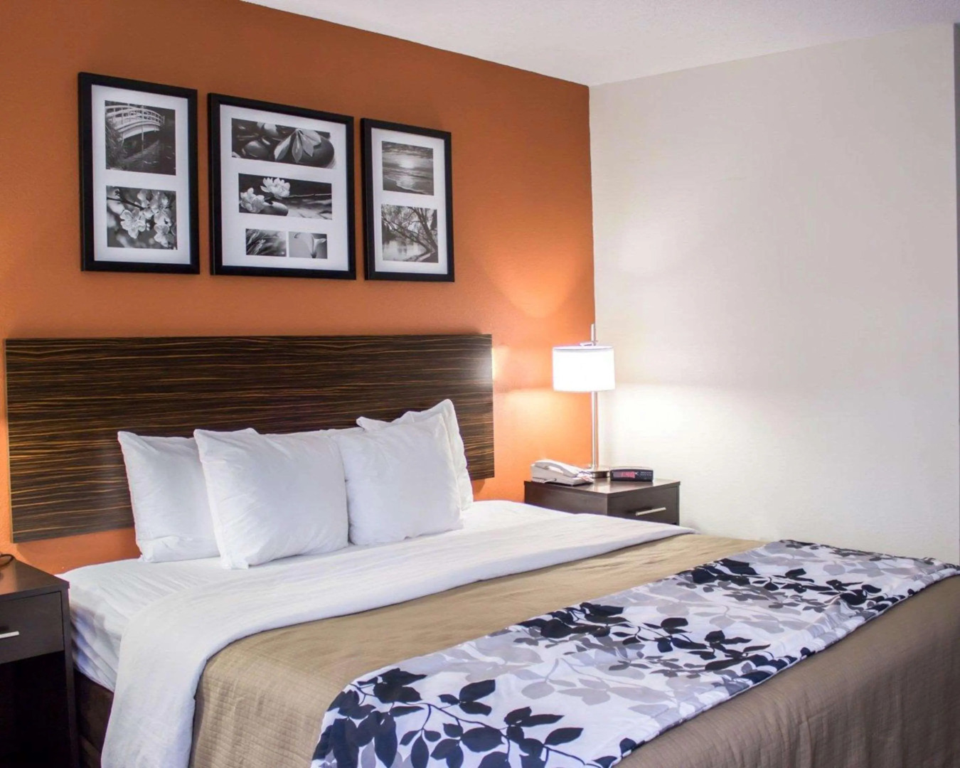 Sleep Inn Wilson near I-95