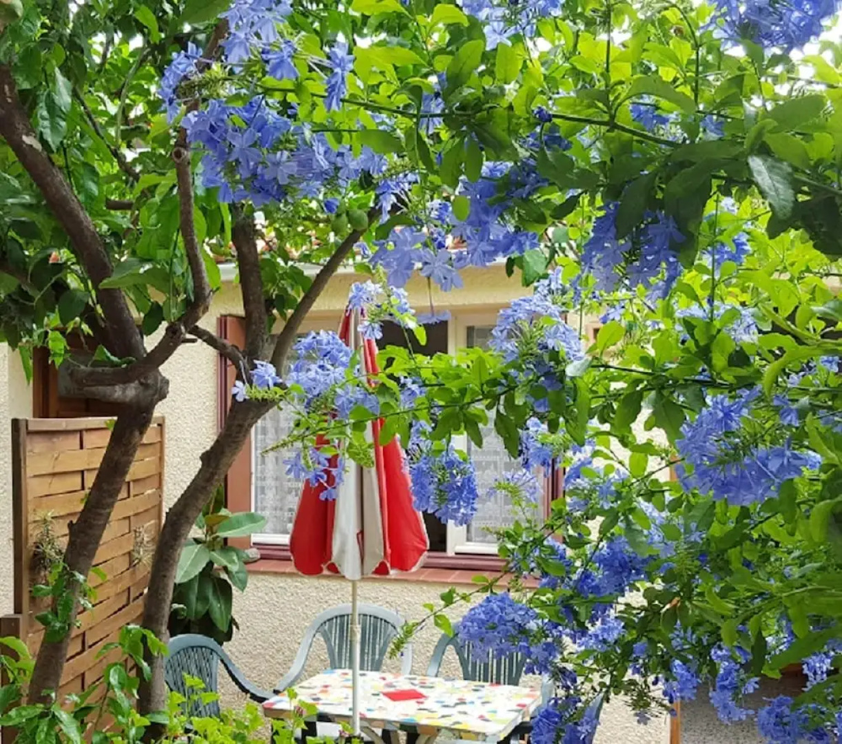 Studio in Banyuls-sur-mer, With Furnished Terrace and Wifi - 300 m Fro