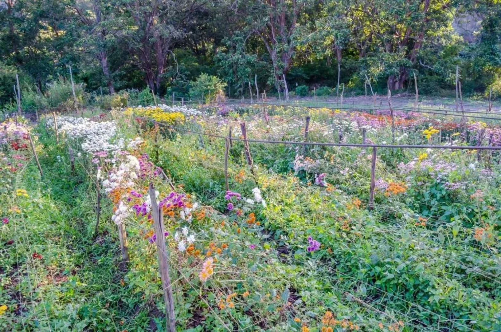 Hotel Chale Nosso Sitio Guaramiranga