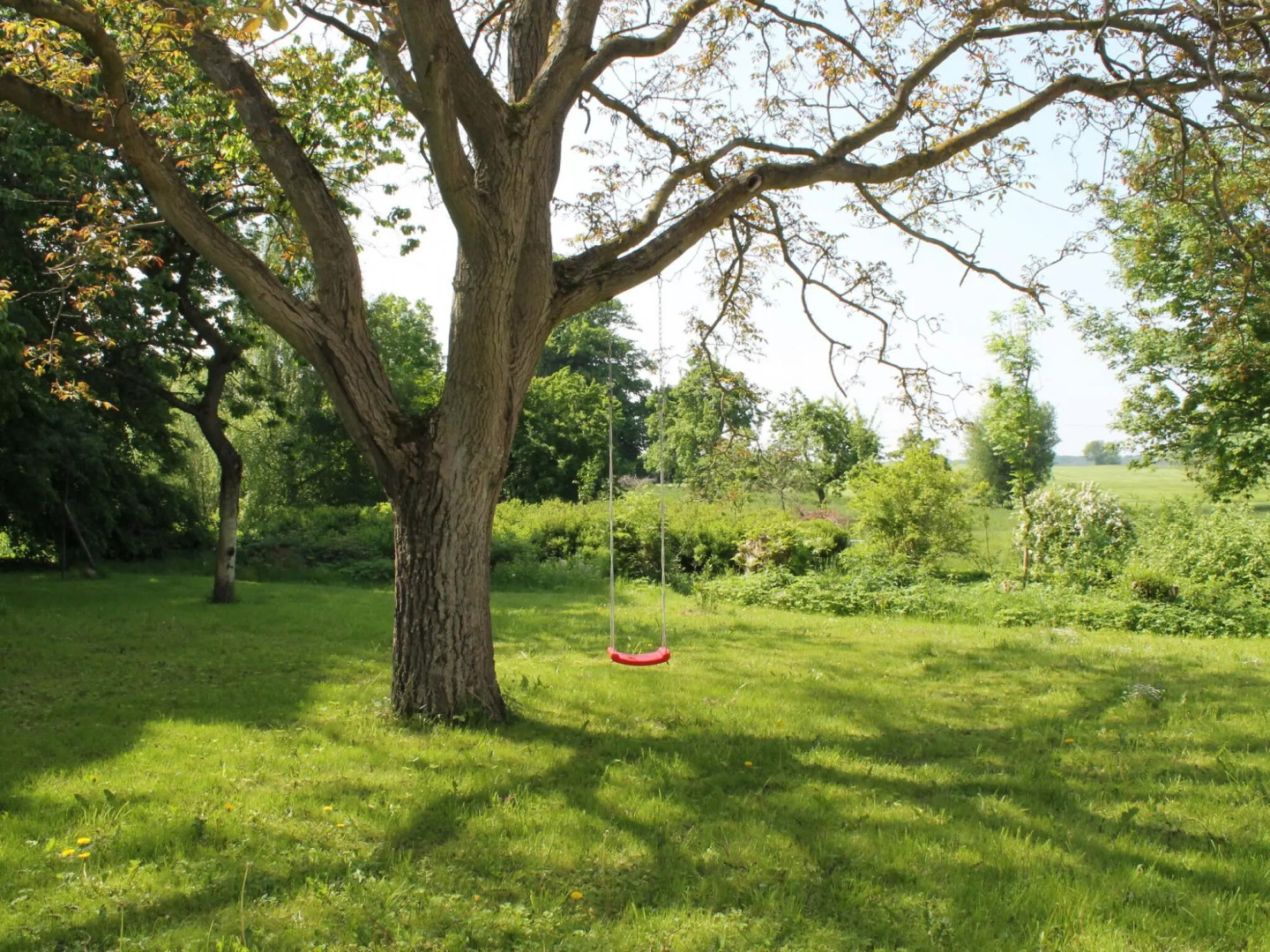 Lush Apartment in Steffenshagen with Garden