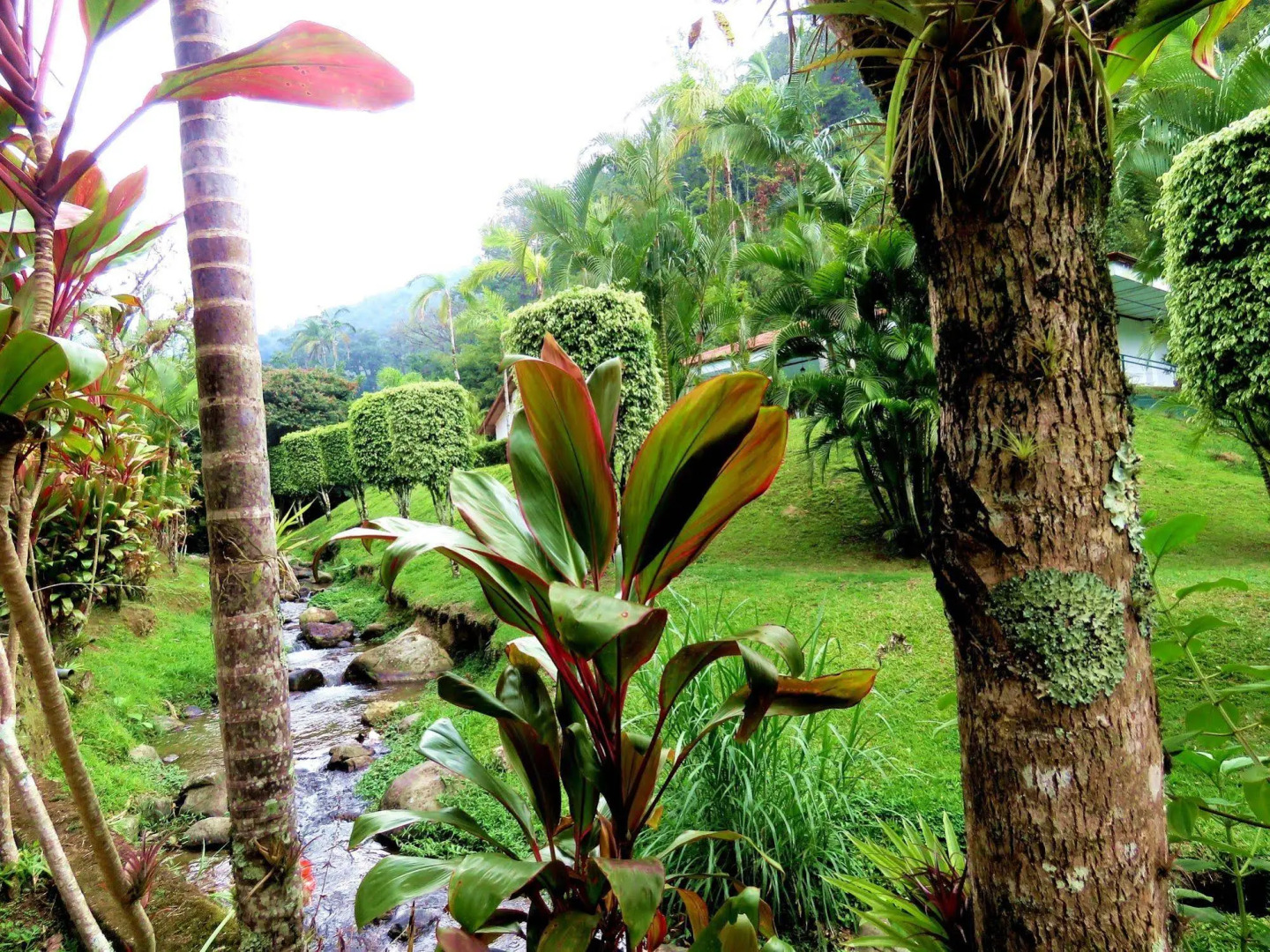 Rio Perlas Thermal Resort & Spa