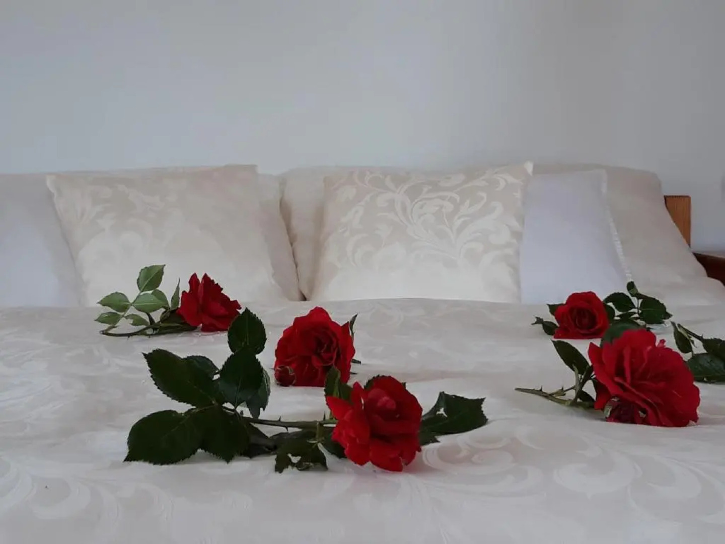 Penzion U sv. Jana - Kraselovský Dvůr