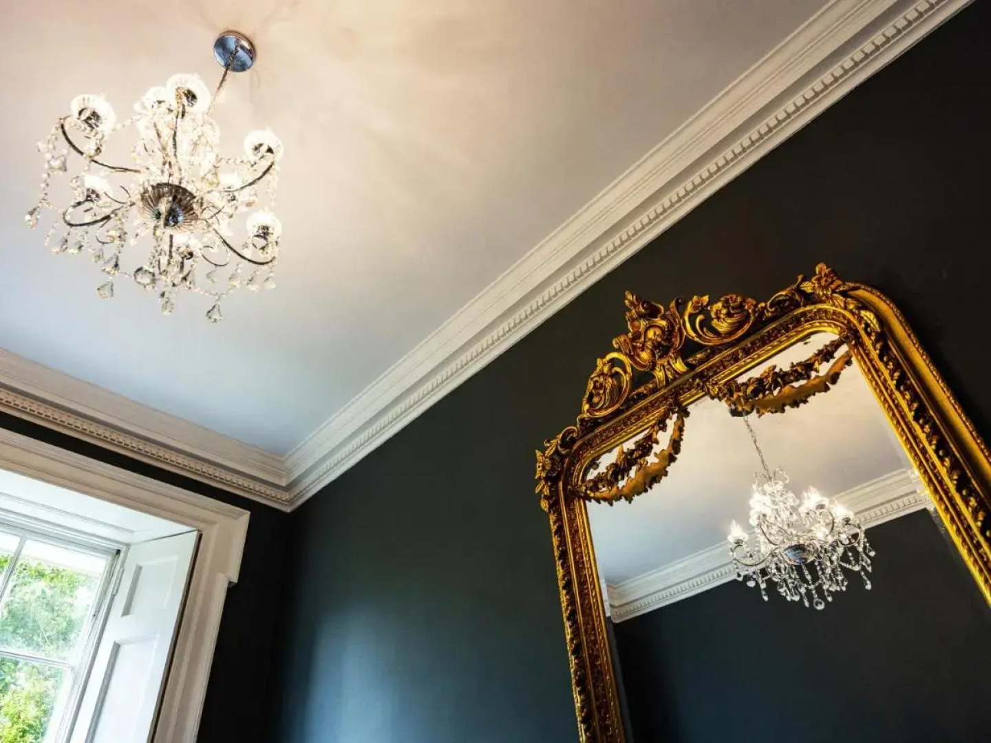 The Forest at Mount Congreve Gardens