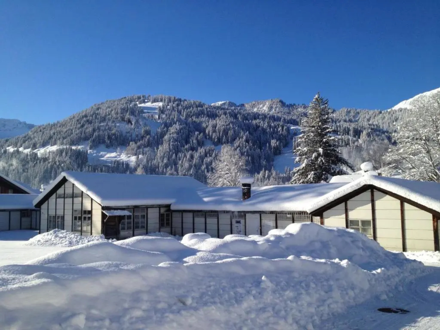 Mountain Lodge Backpackercamp