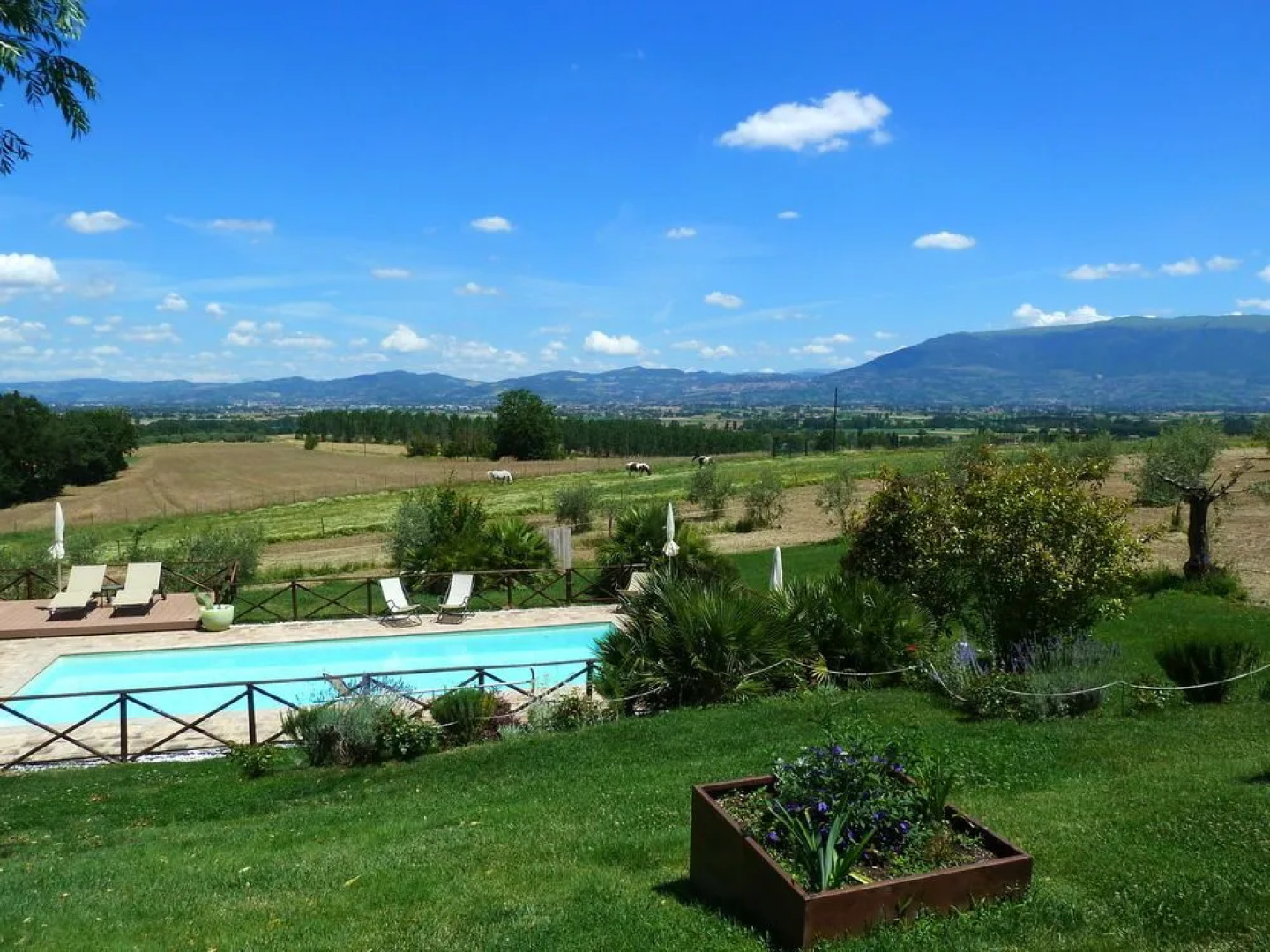 L'Olmo Agriturismo Di Charme