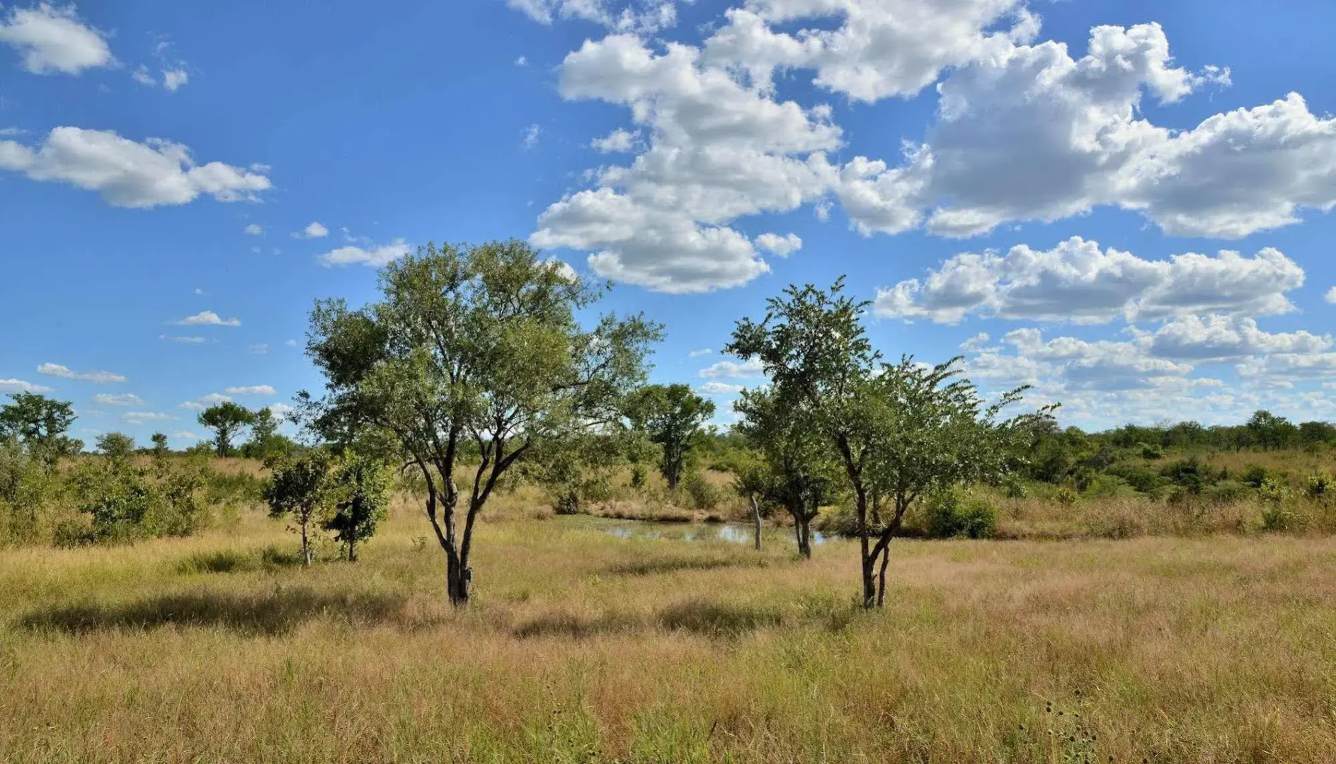 Wildtrack Safaris Eco Lodge