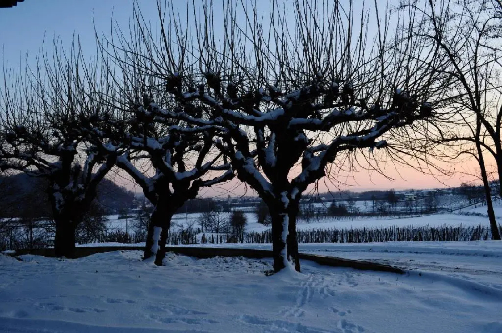 Gigante Wine & Welcome