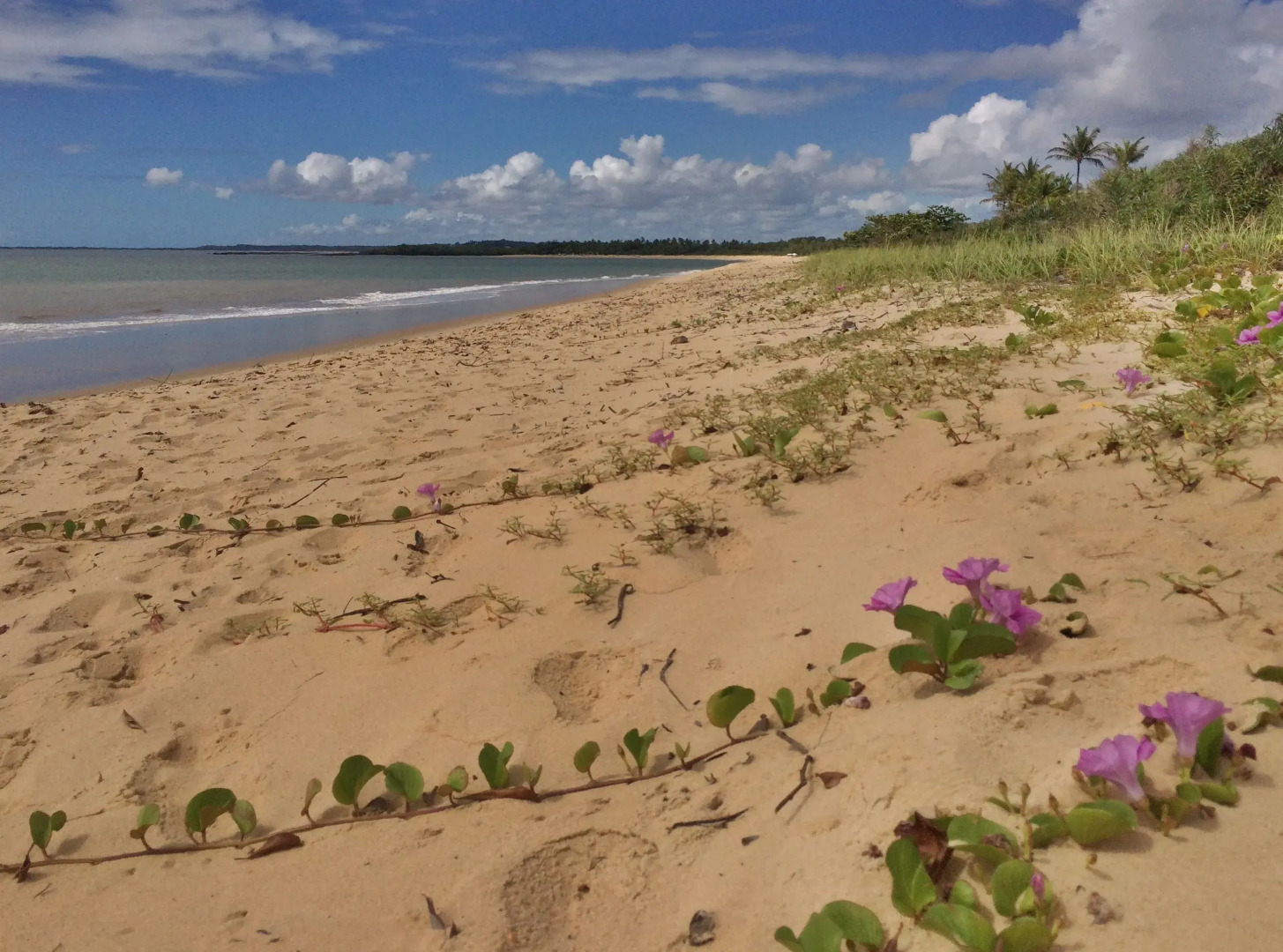 Village Mata Encantada