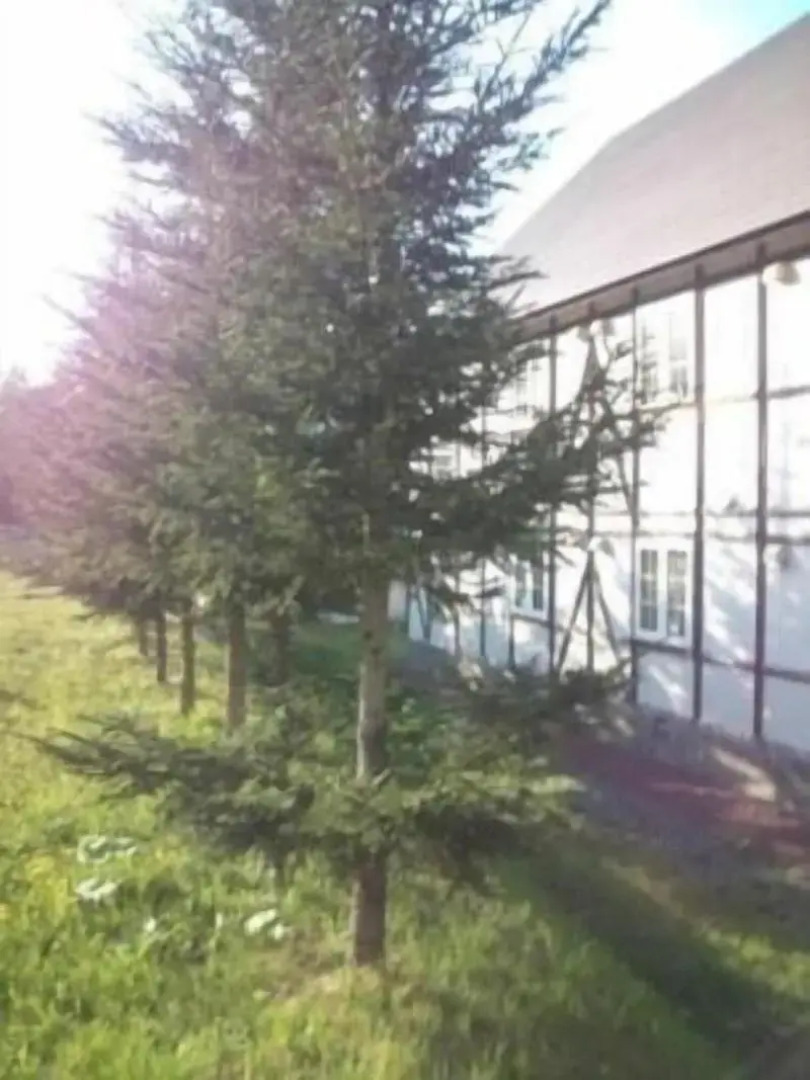 Petit Hotel Gracey Tomamu