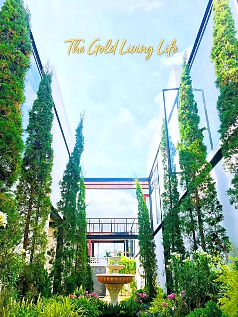 The Gold Living Life