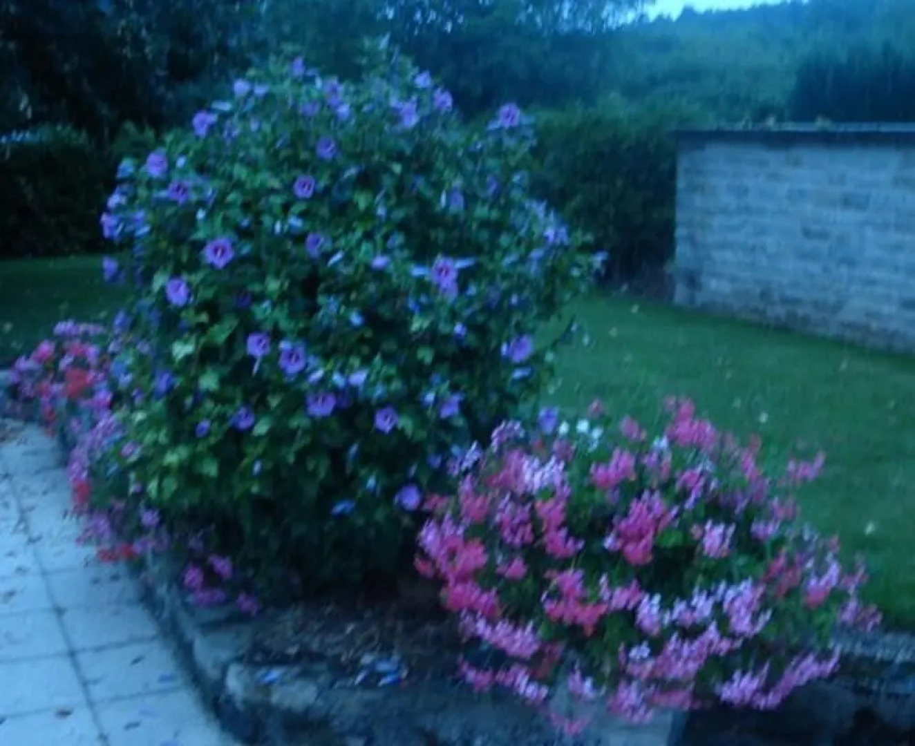 Chambres D'hotes La Chaumiere