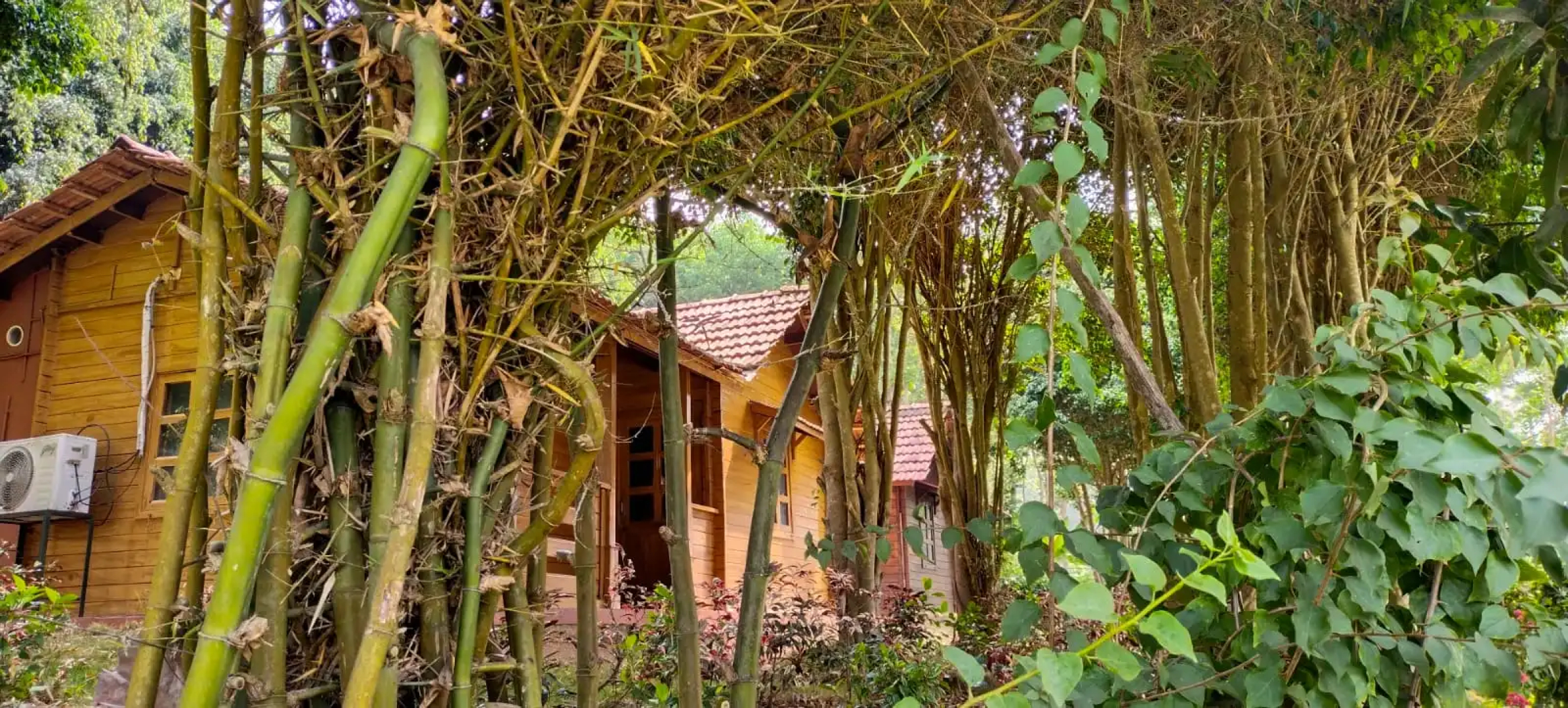 George's Cottages & Resorts
