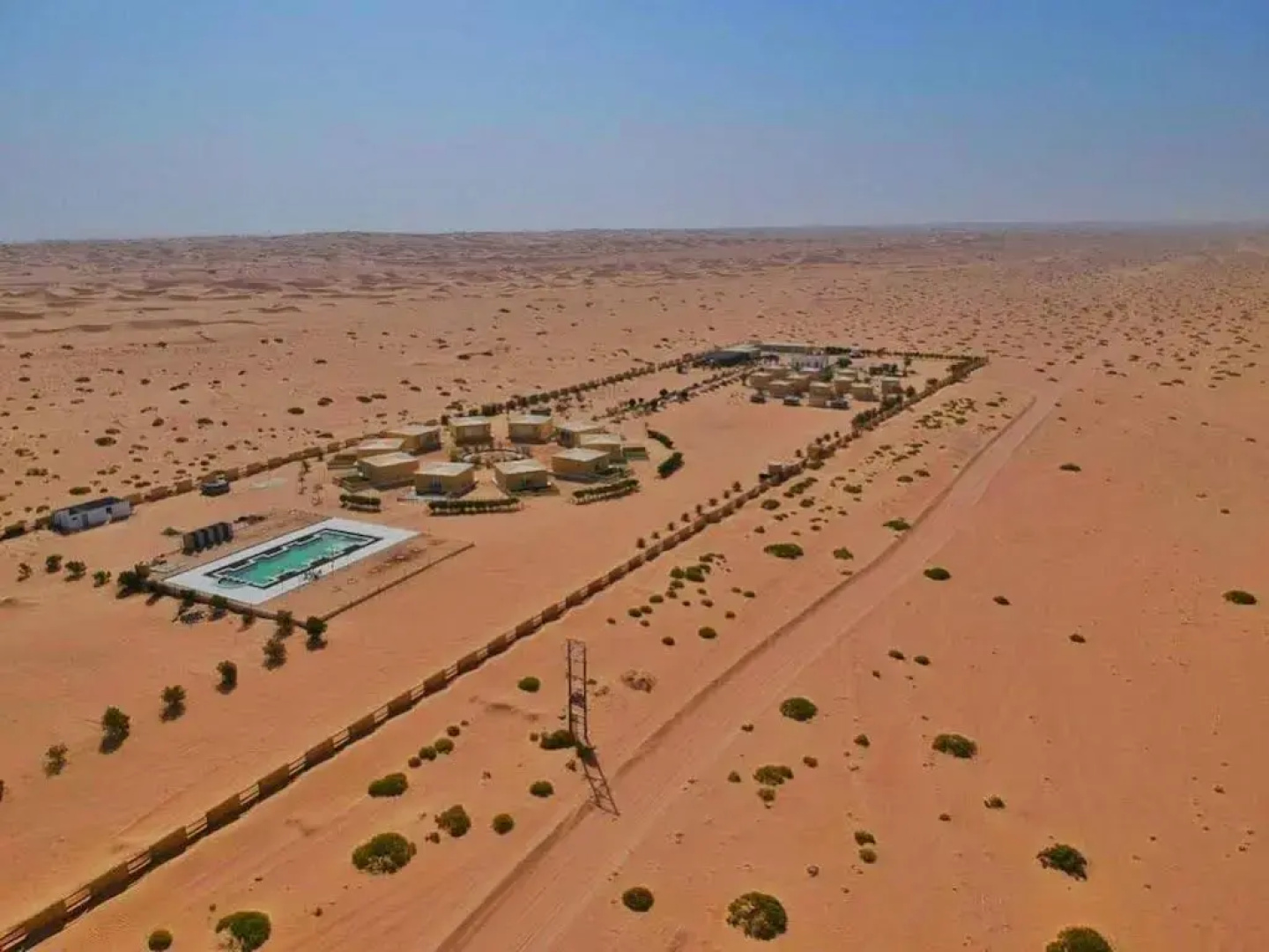 Golden Palm Oasis