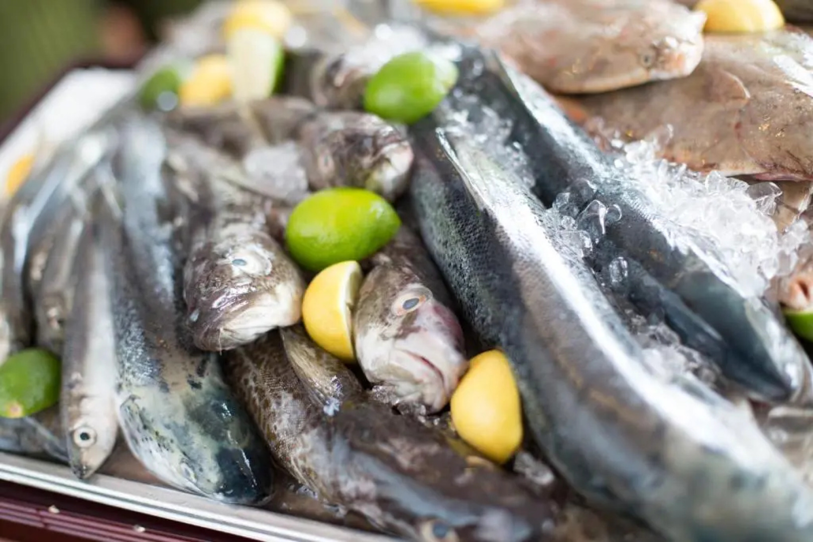 Hotel Lidia SPA & Wellness