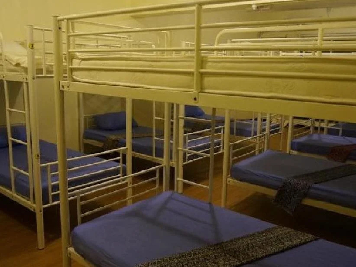 Best Bunk Beds Lodge