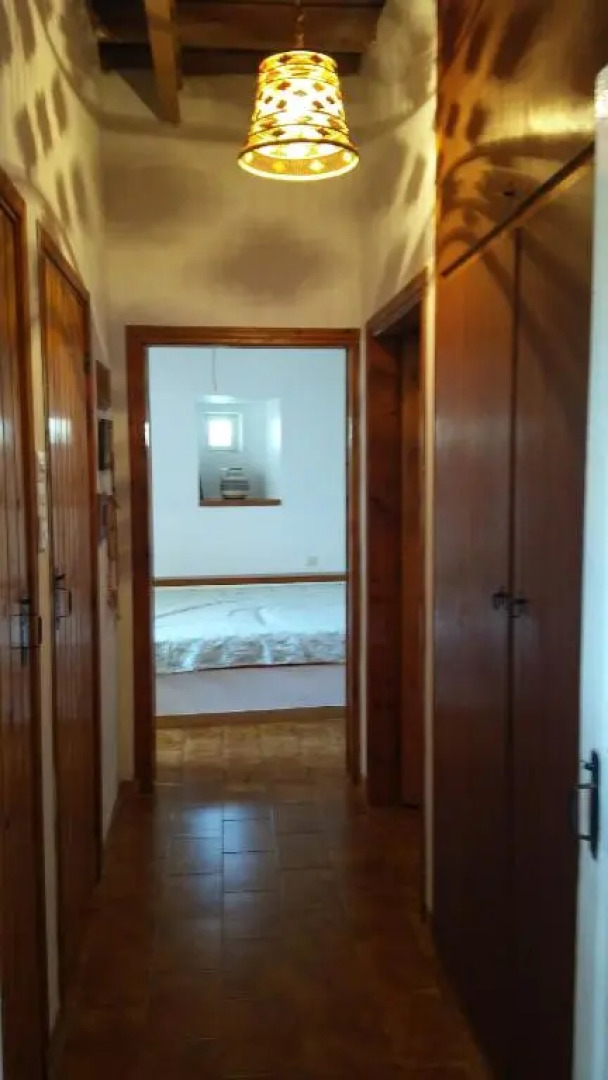 The large bougainvillea house