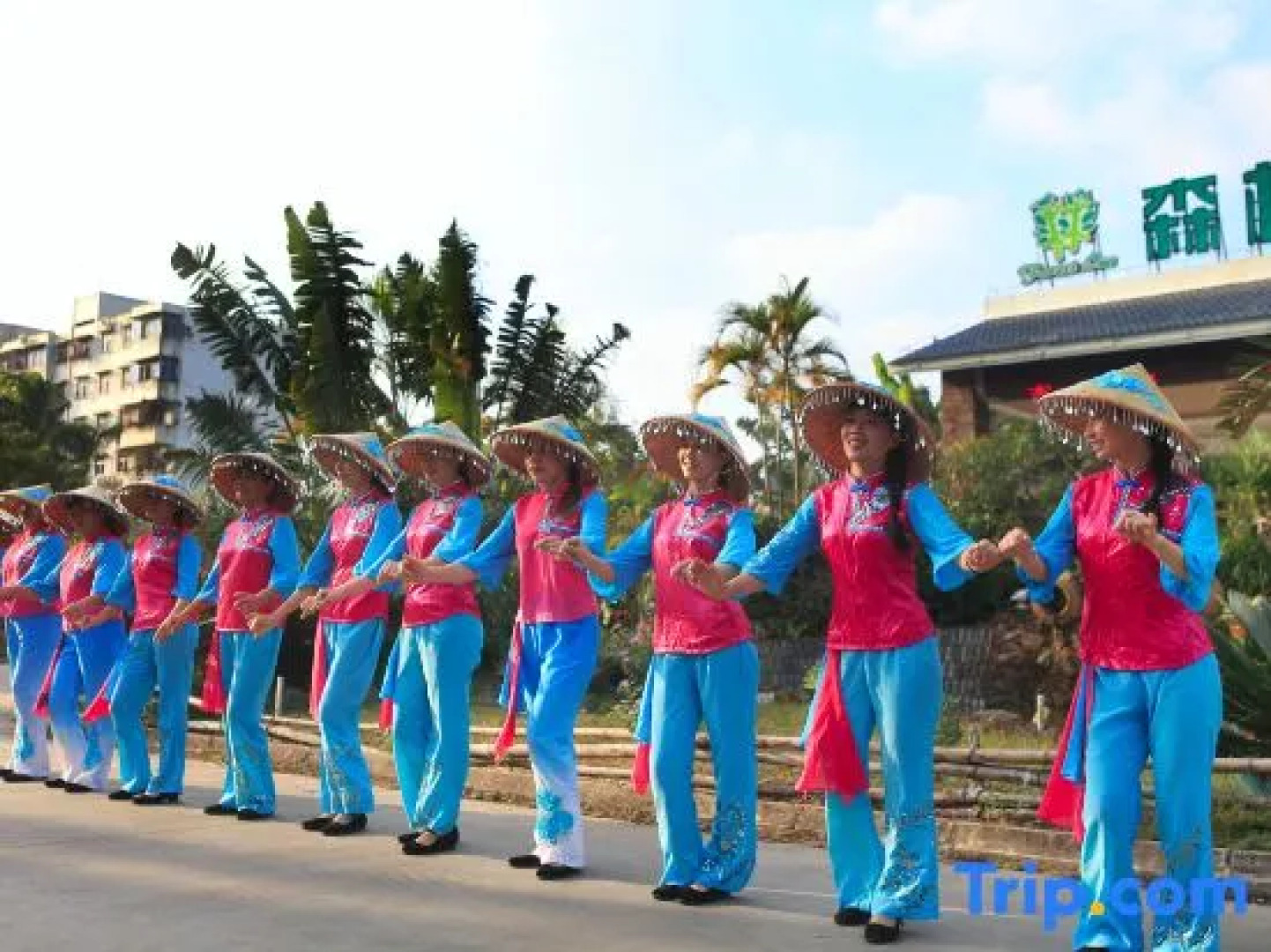 Forest Inn (Hainan University, Zhangzhou Botanical Garden Thermoscience Academy)