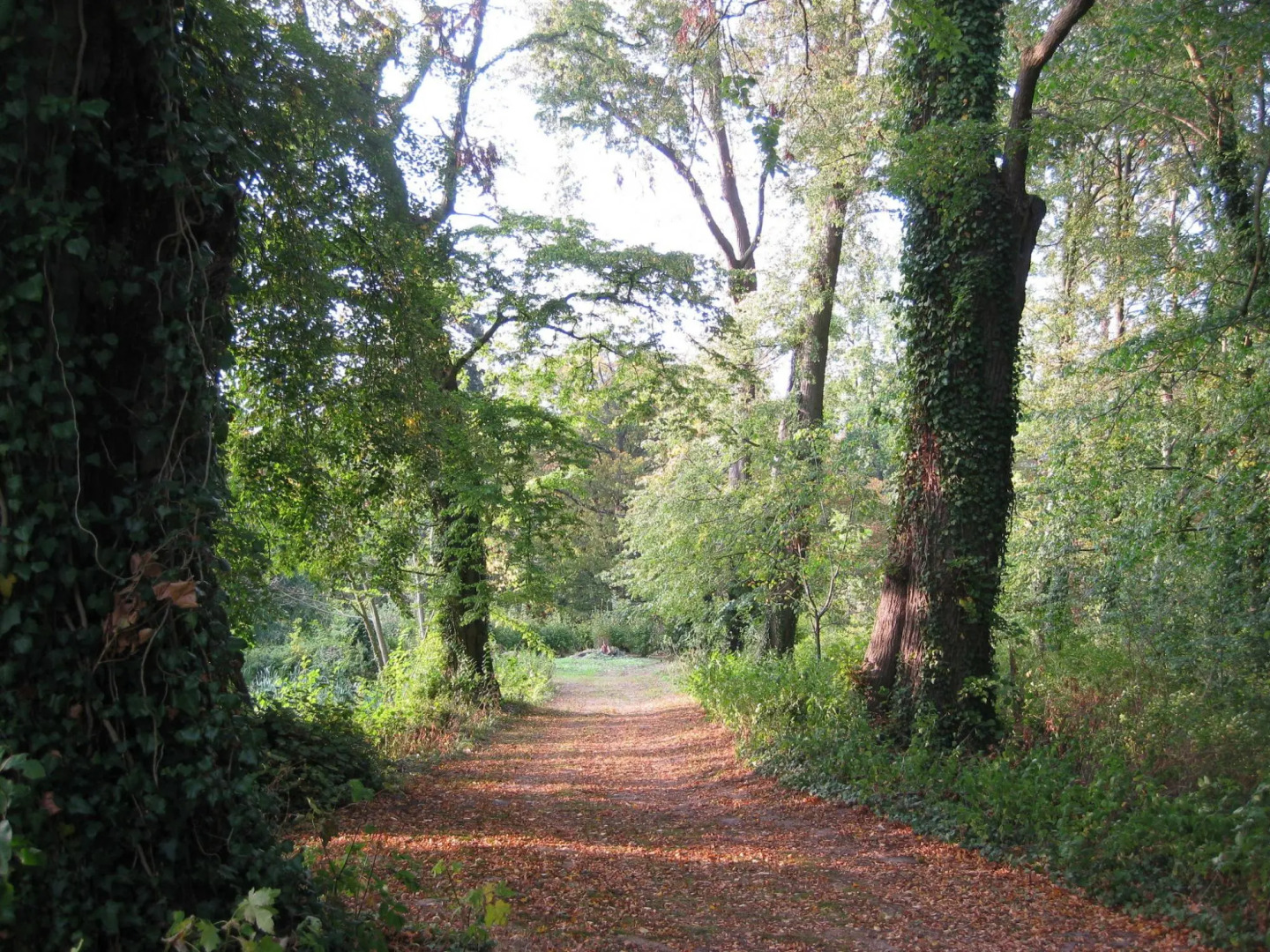 Einladende Ferienwohnung in Gerdshagen mit Garten