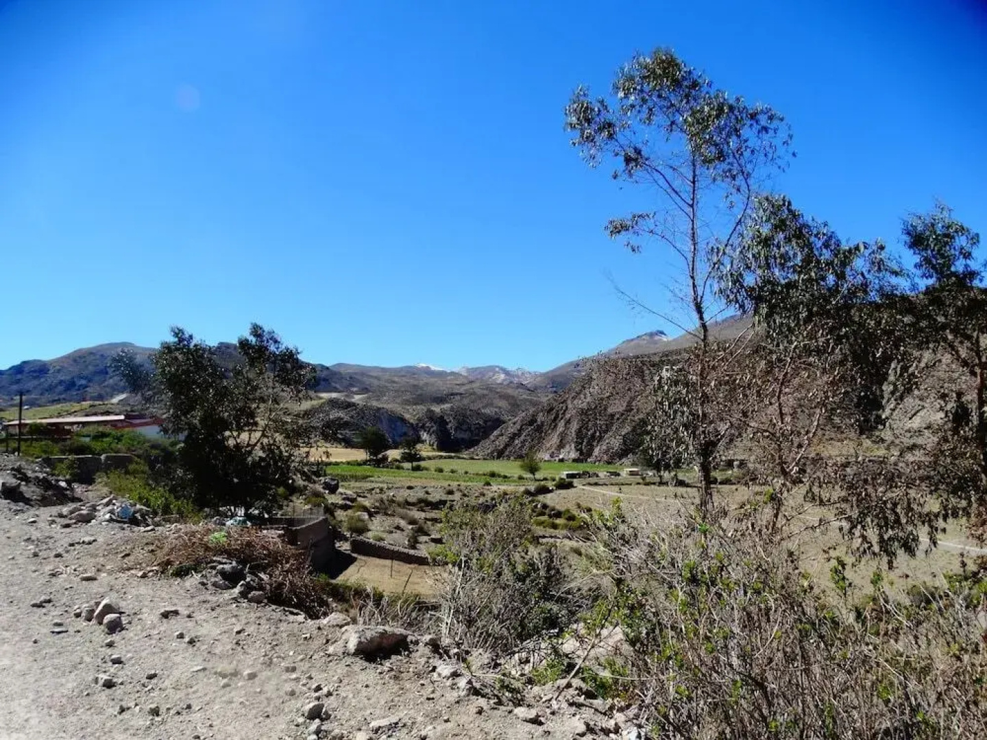 Pachamama Hostel & Tour