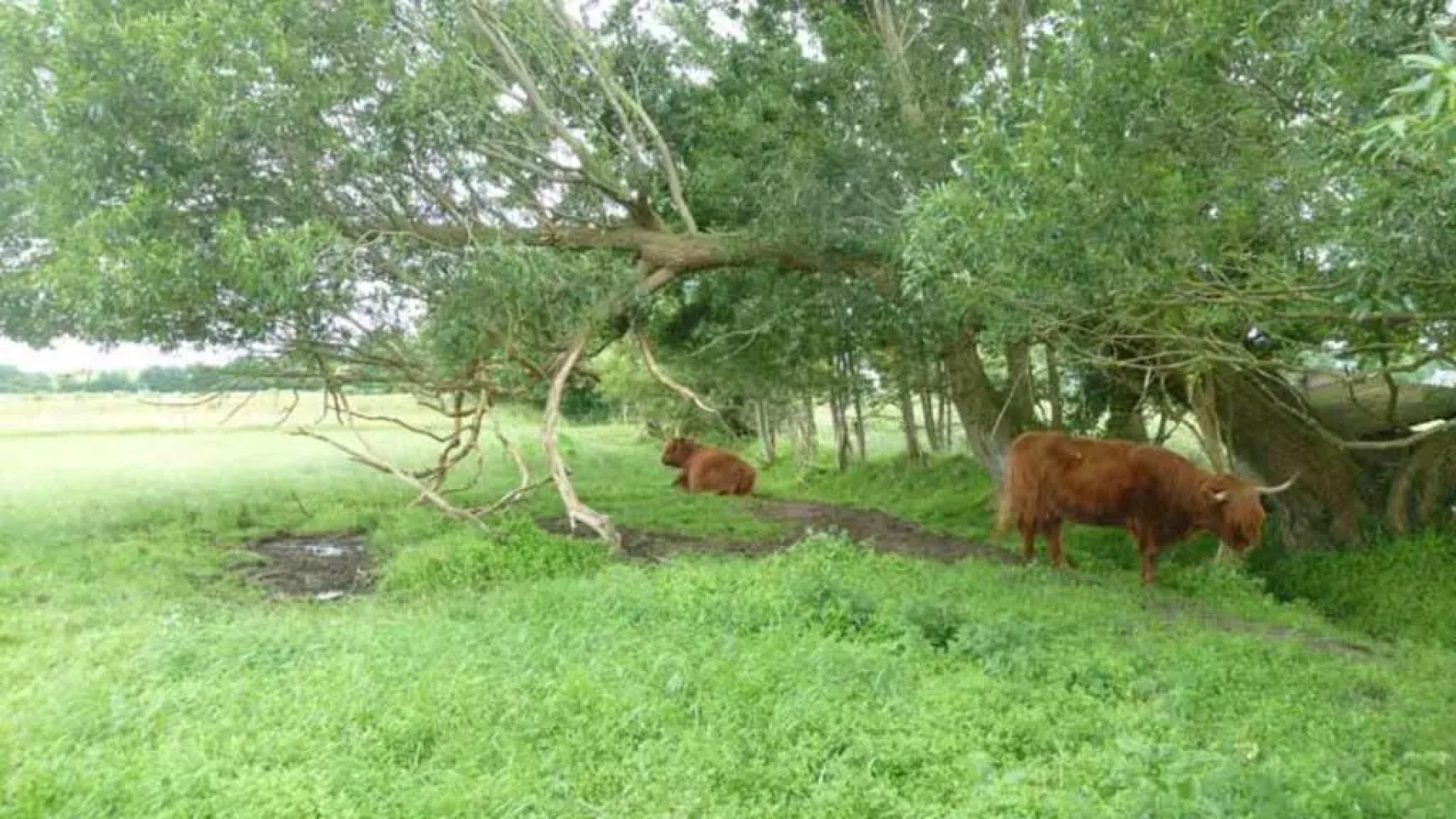 Schlei Ferienwohnung Country Garden (Ref. 176429)