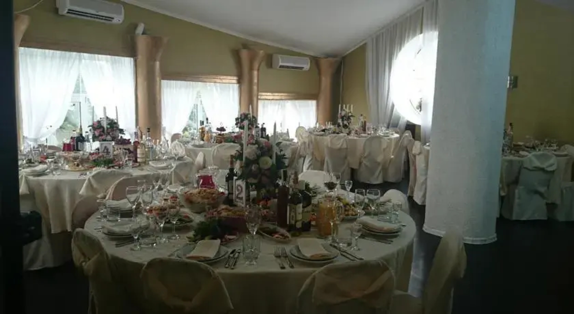 Королевский Дрозд