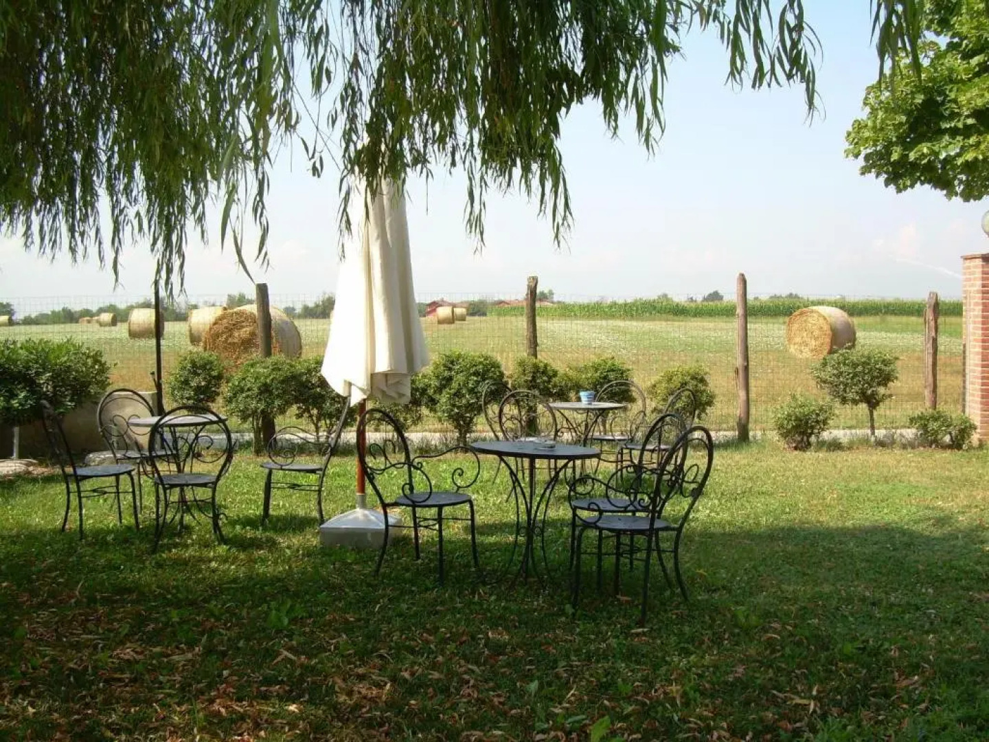 La Vigna Del Maestro