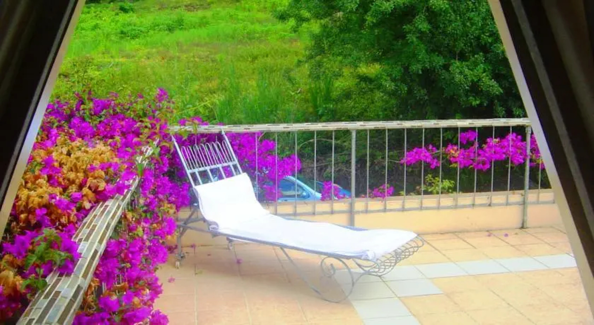 Terroir des Baies Roses - Moka