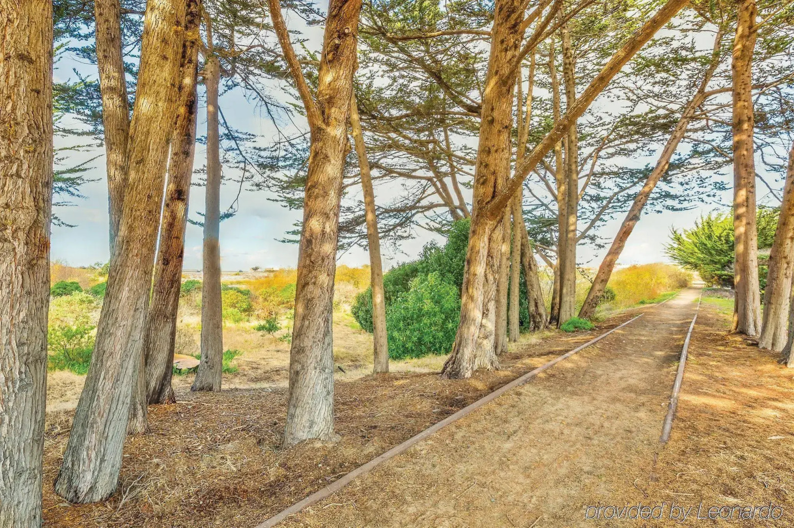 Hampton Inn Monterey