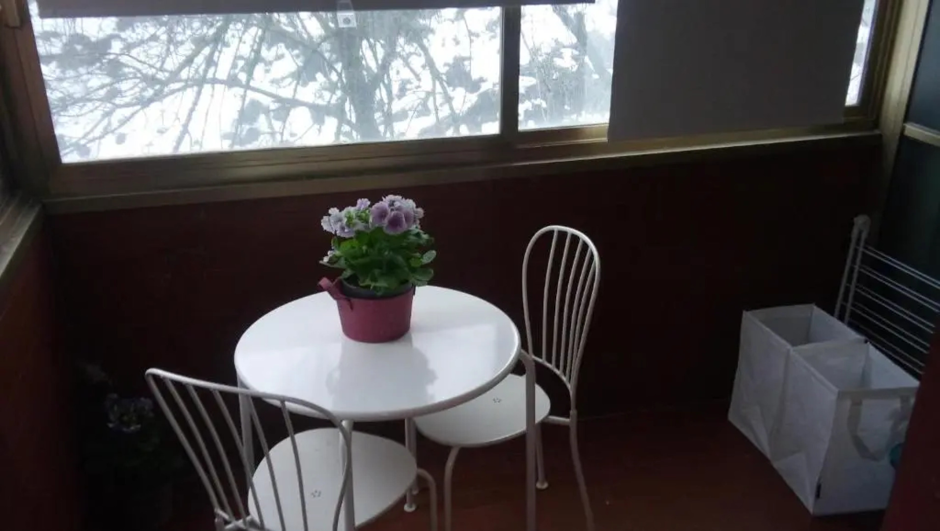 Casa Vacanze Orchidea