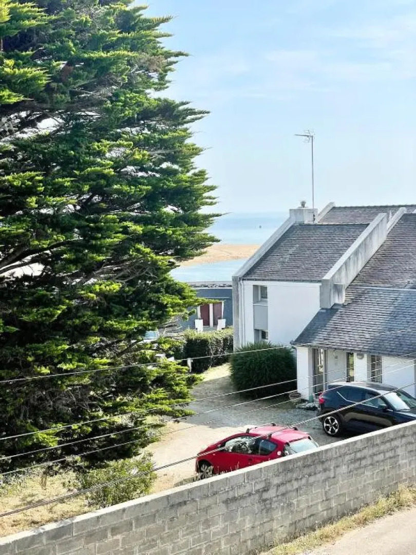 T2 Ultra Cosy Port Et Plages À Pieds