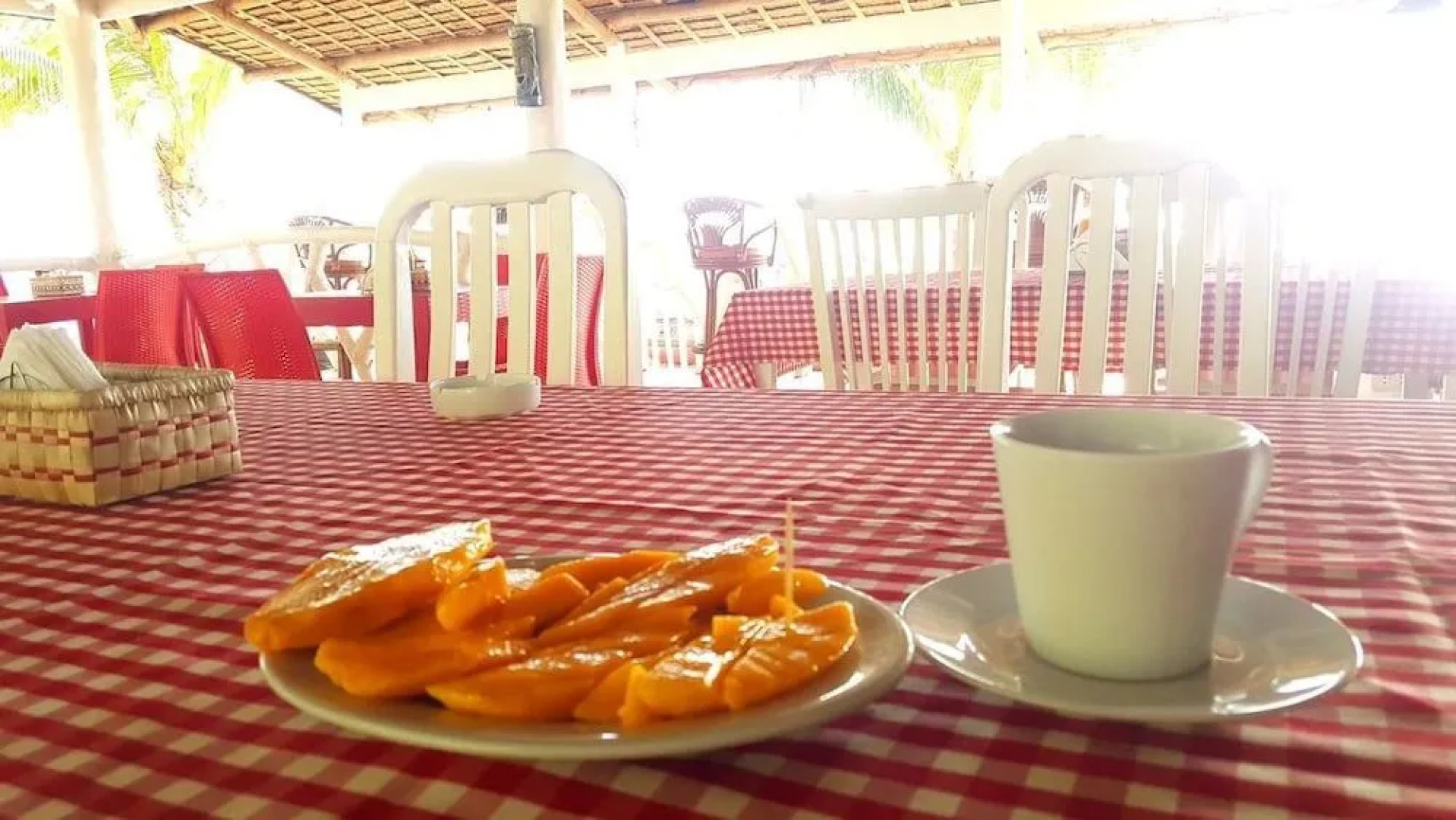 Dumaguete Snowman Resort and Dive Center