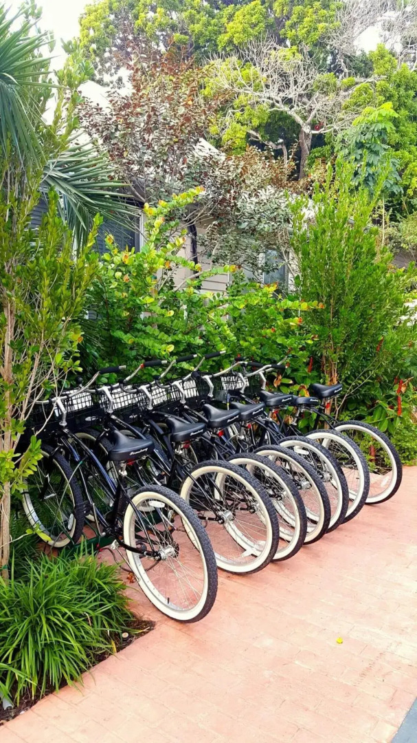 The Saint Hotel Key West, Autograph Collection, Adult Only