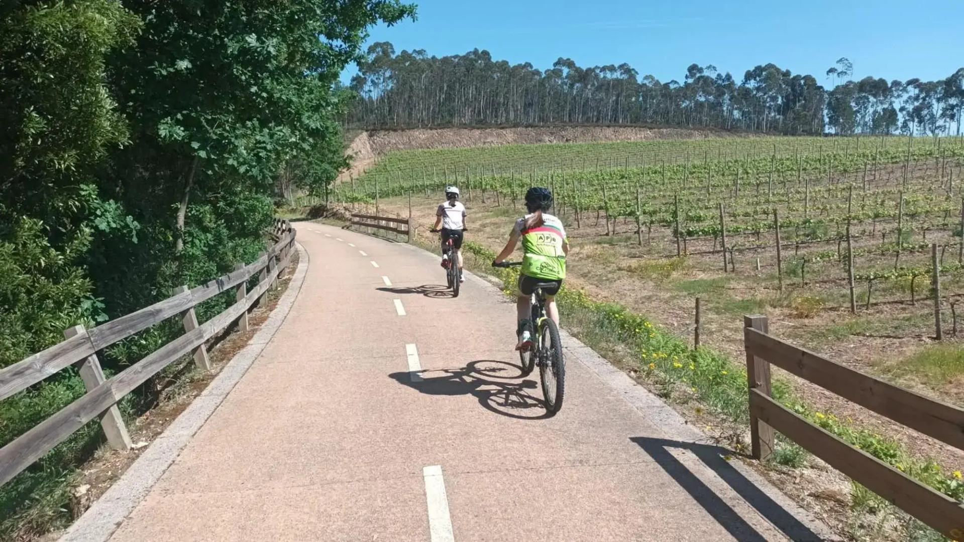 Guestready - Casa da Torre - Paradise in the North of Portugal