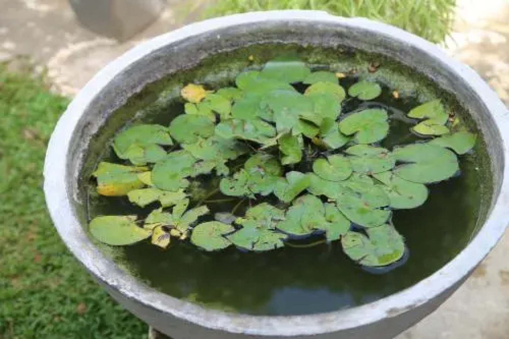 New Negombo Beach Hostel