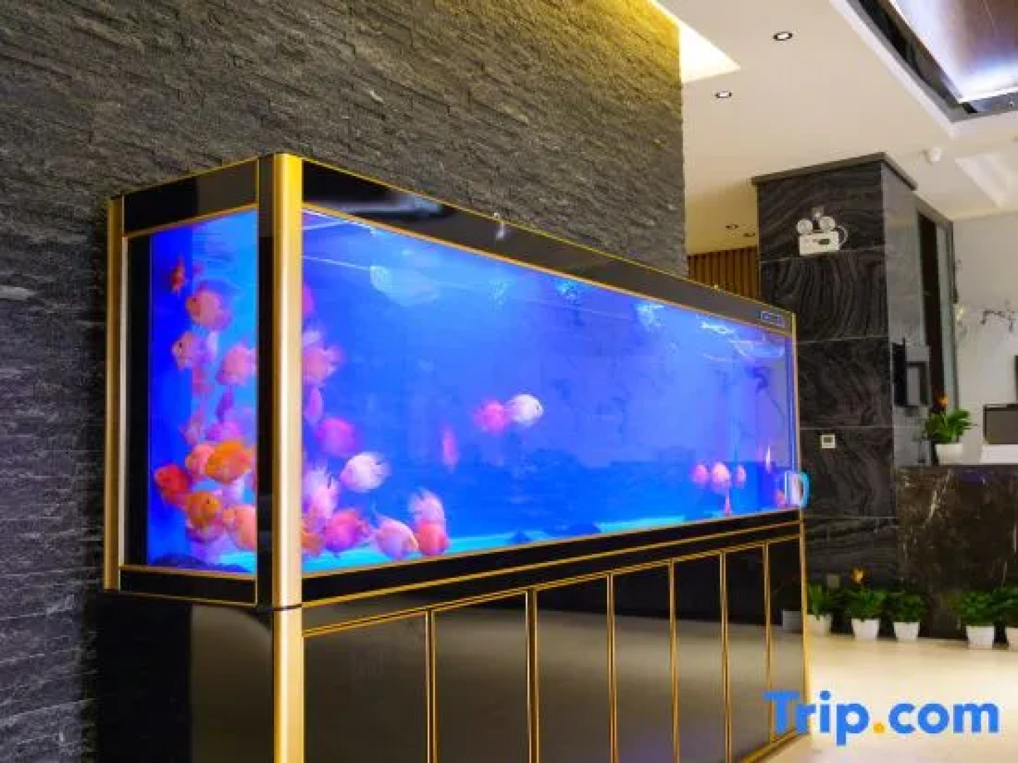 Xinxiang Zhonglian Hotel