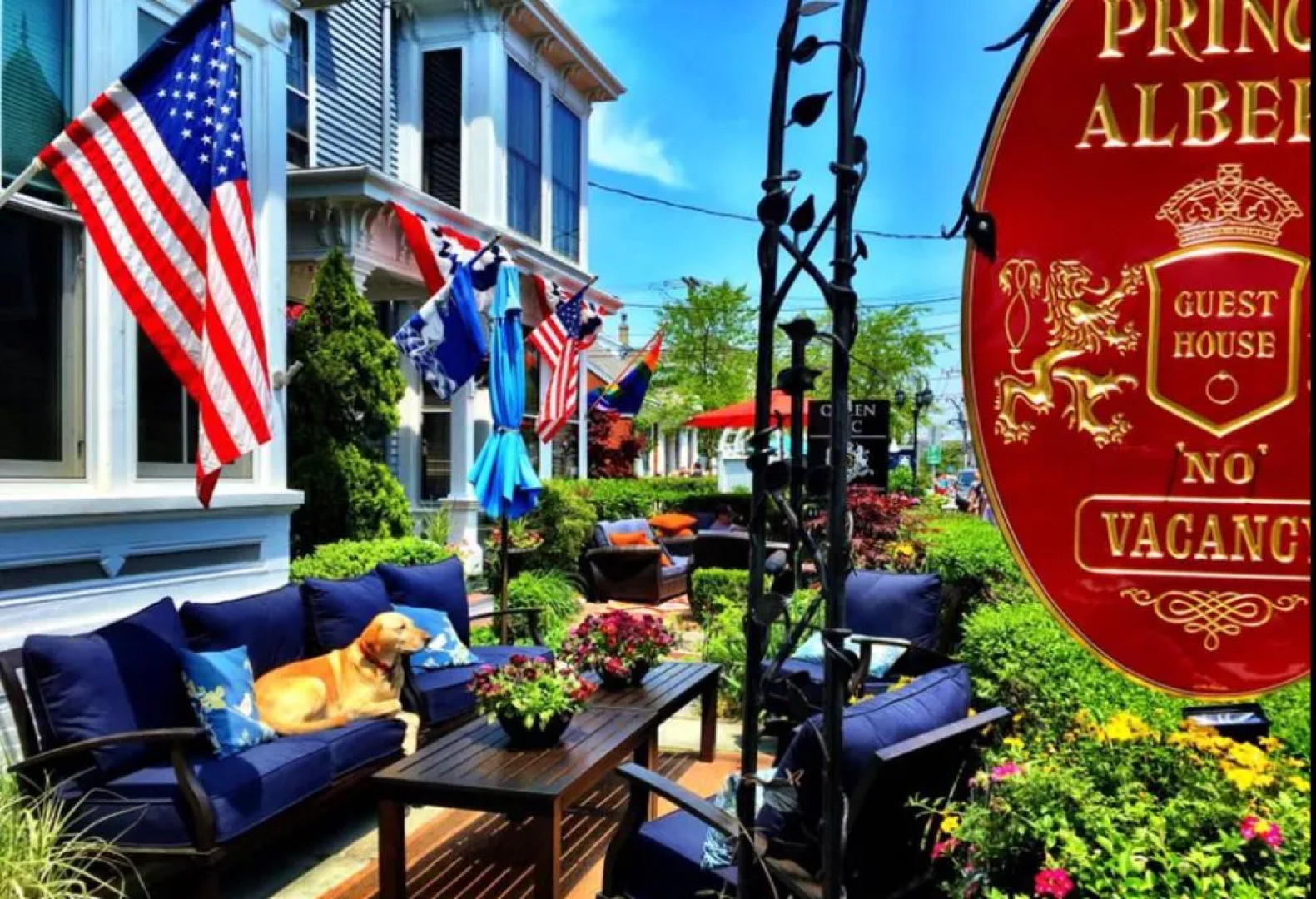 Prince Albert Provincetown