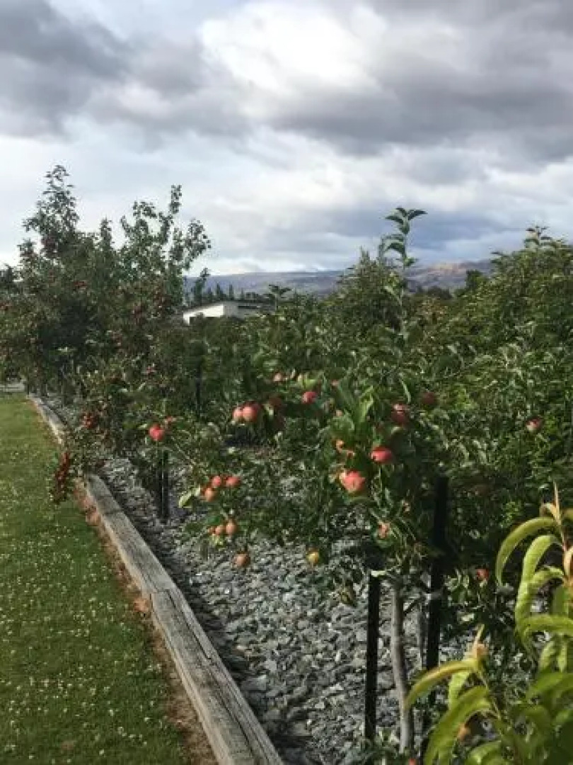 Rustic Lodge Bed & Breakfast