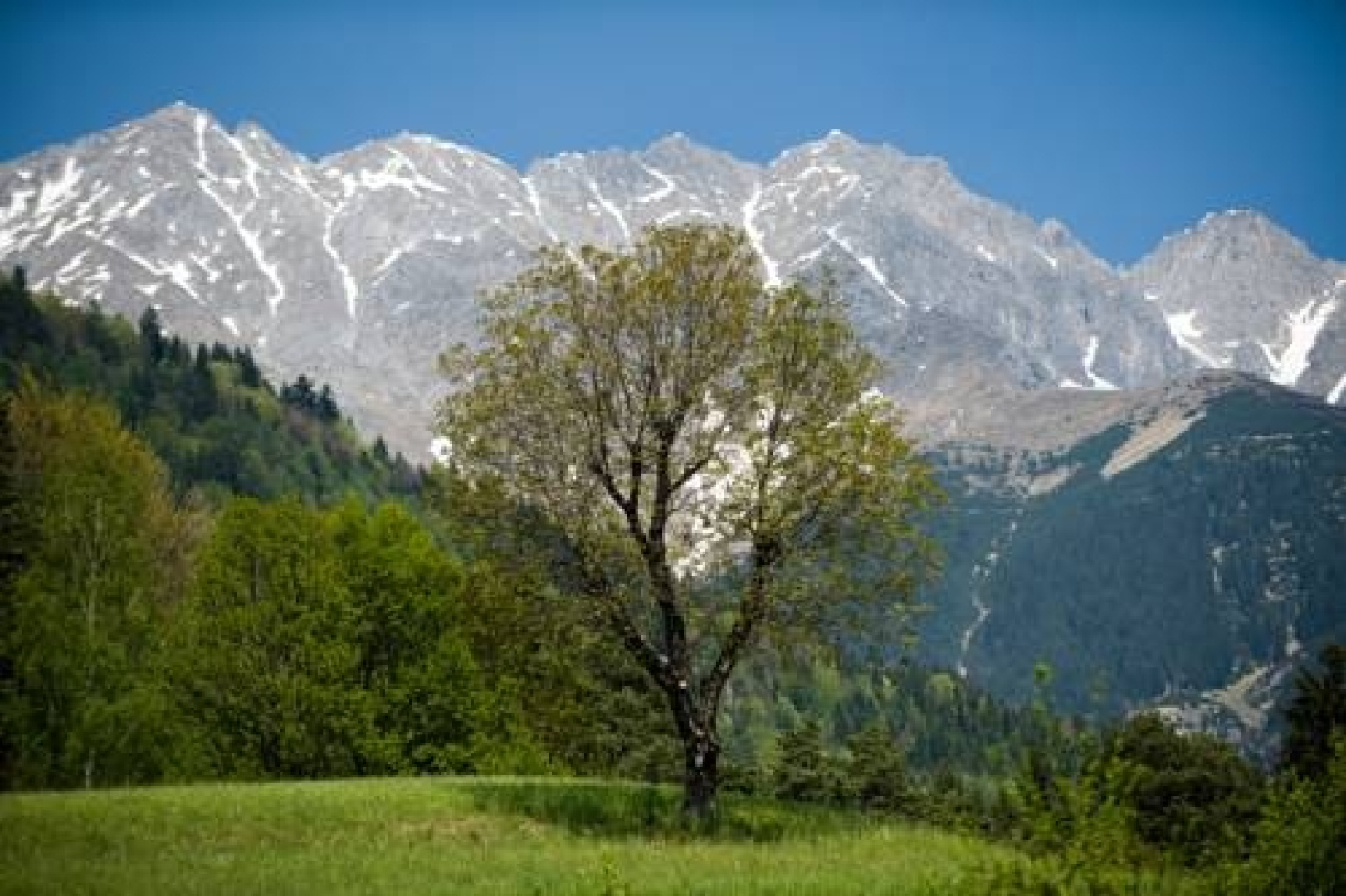 Kasperhof
