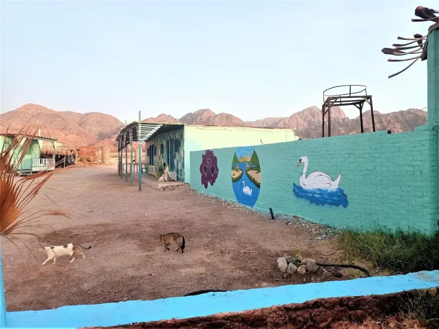 Sahara Beach Camp