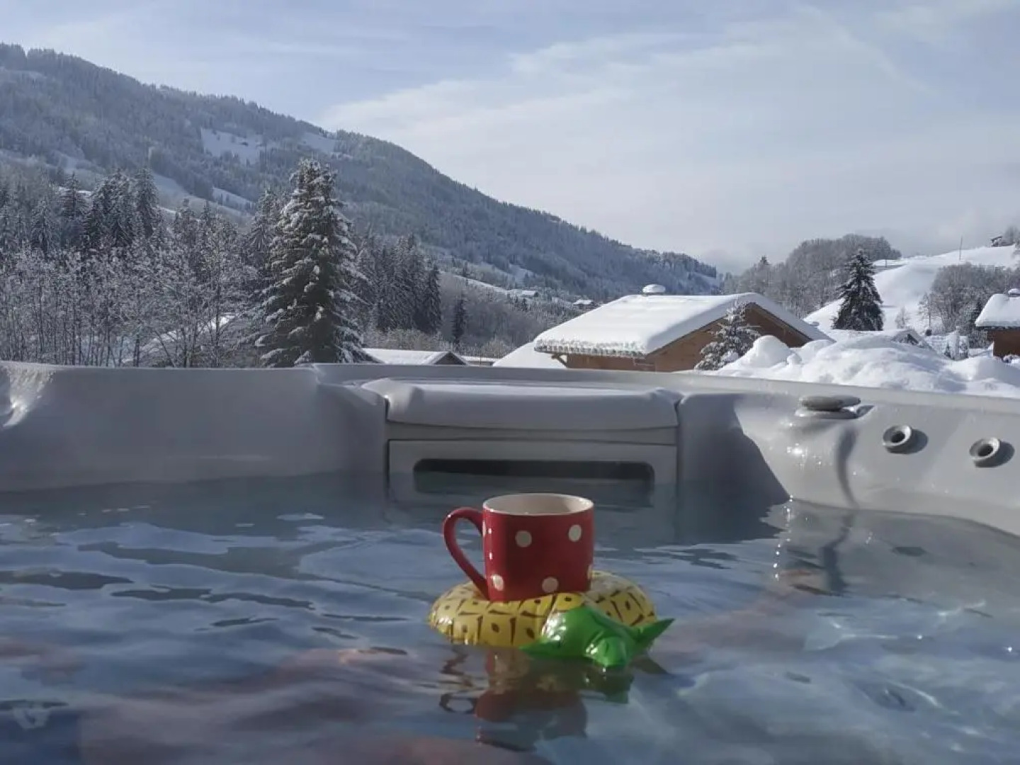 A4 km de Megève très joli studio avec jacuzzi ,vue sur les montagnes au calme